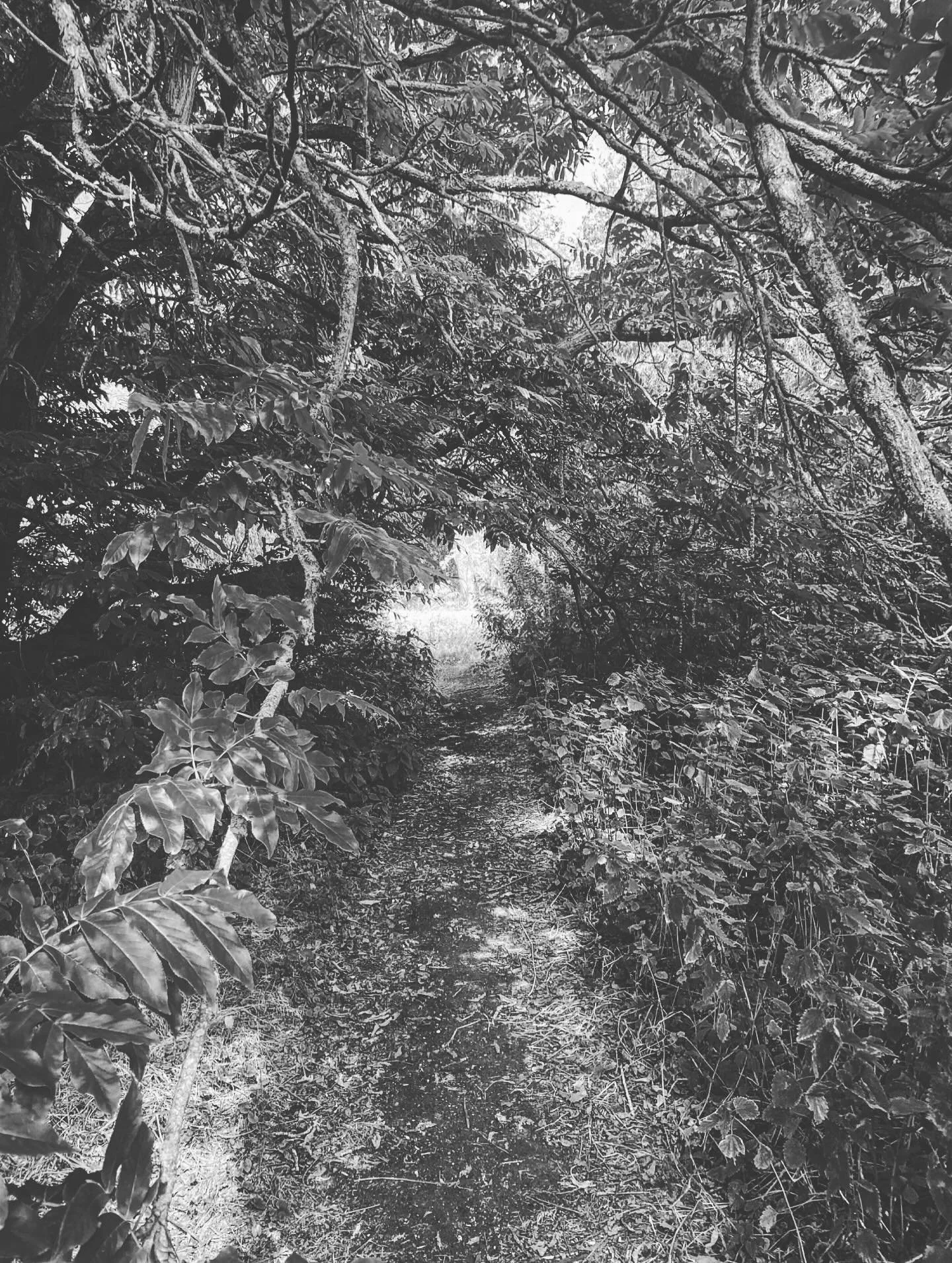 [image] - 7090775.jpeg