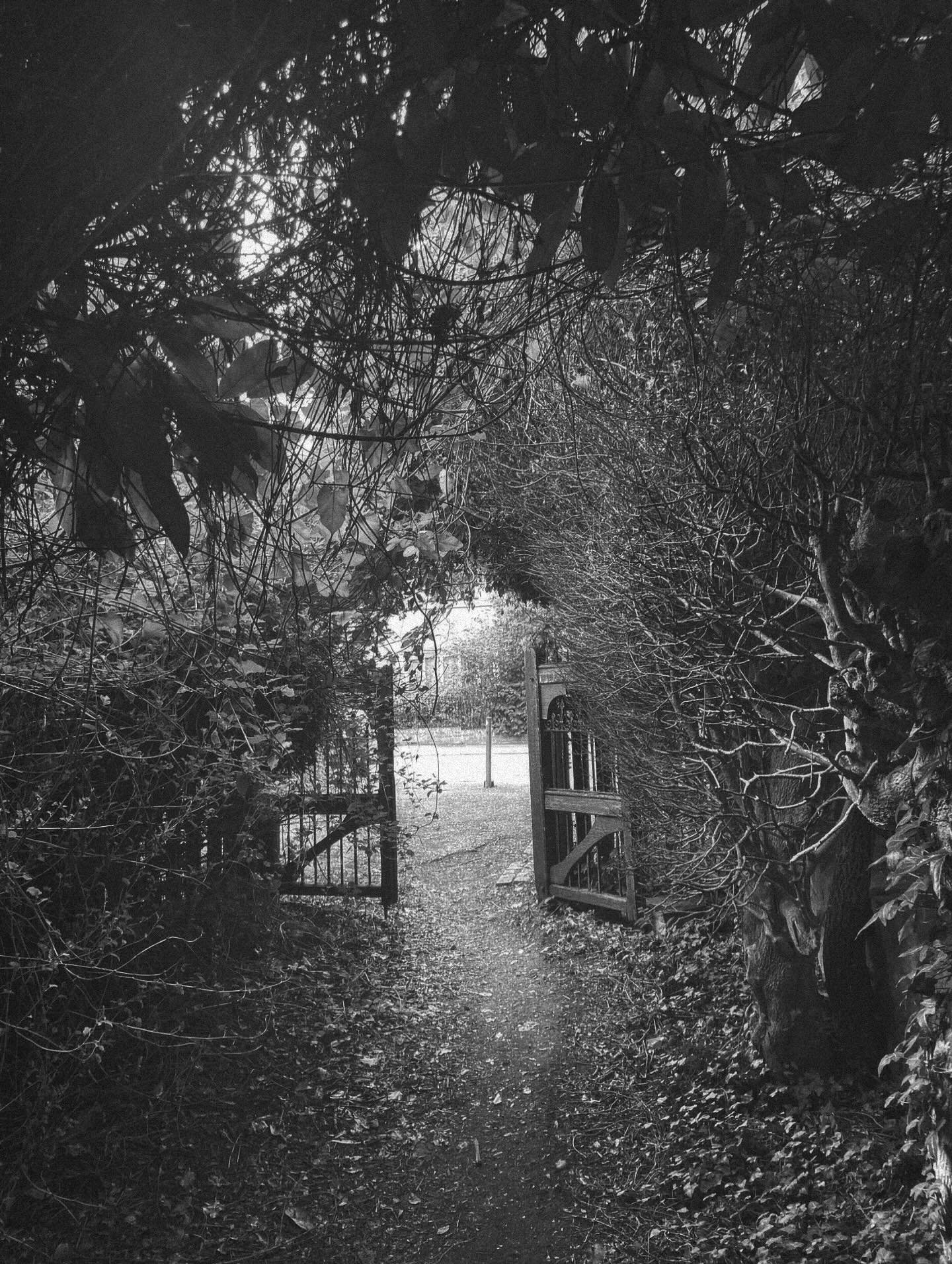 [image] - 4507030.jpeg