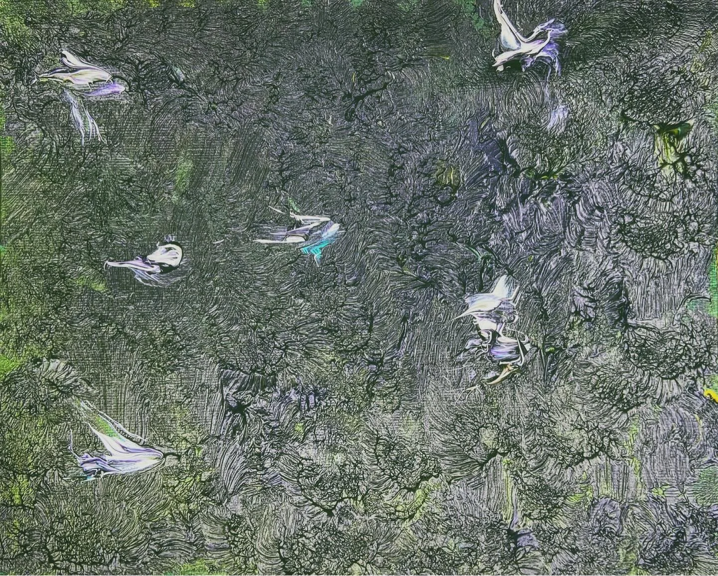 [image] - 4319348.jpeg