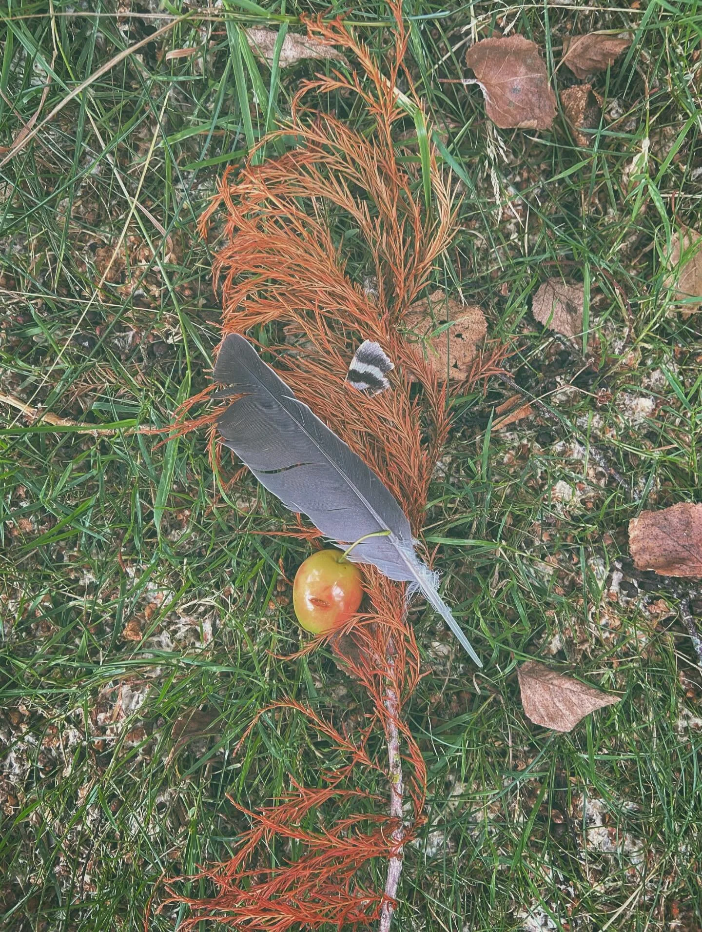 [image] - 588550.jpeg