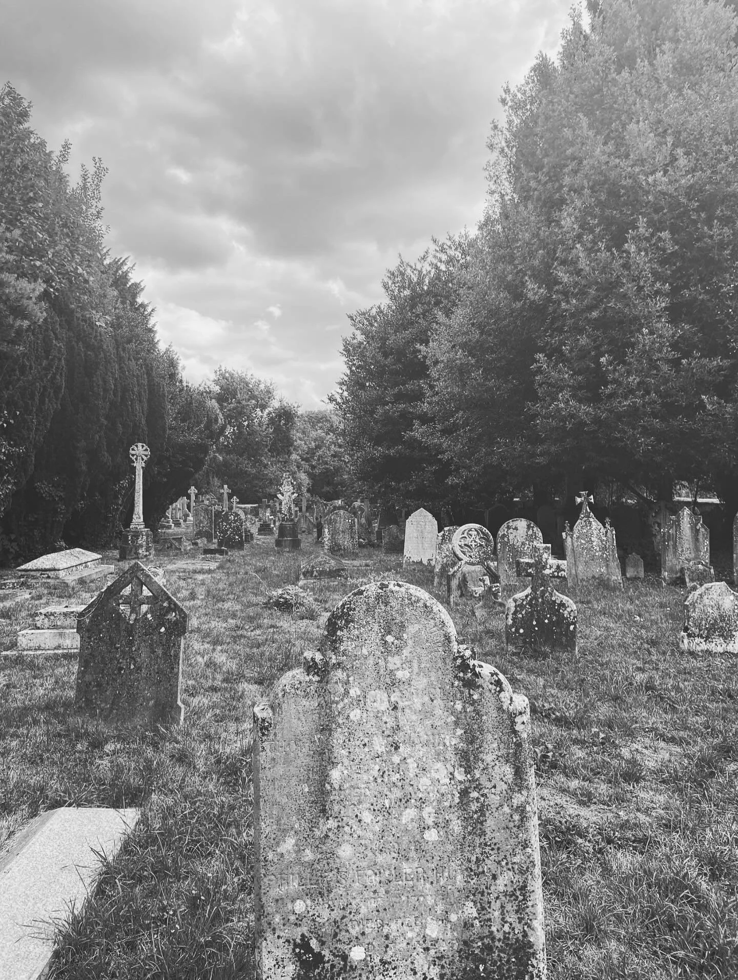 [image] - 756109.jpeg