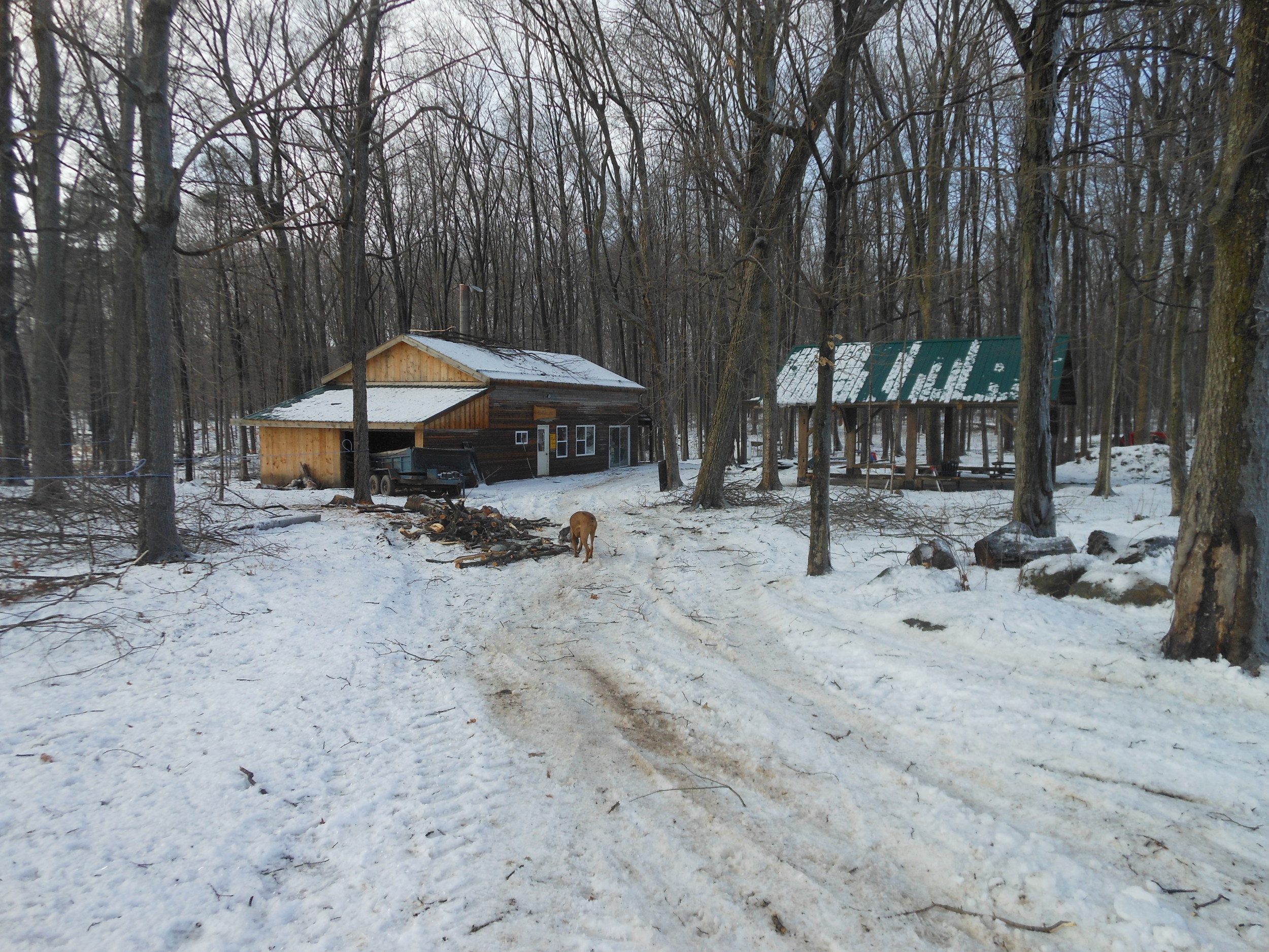DSCN1194.JPG