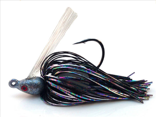American Shad.png