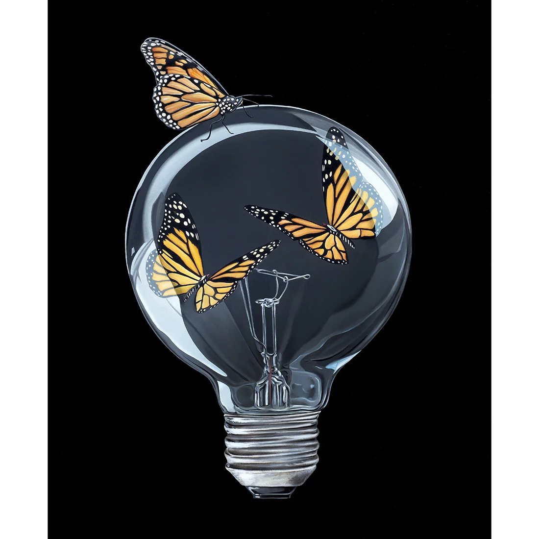 three monarchs relationship status new haven art.jpg