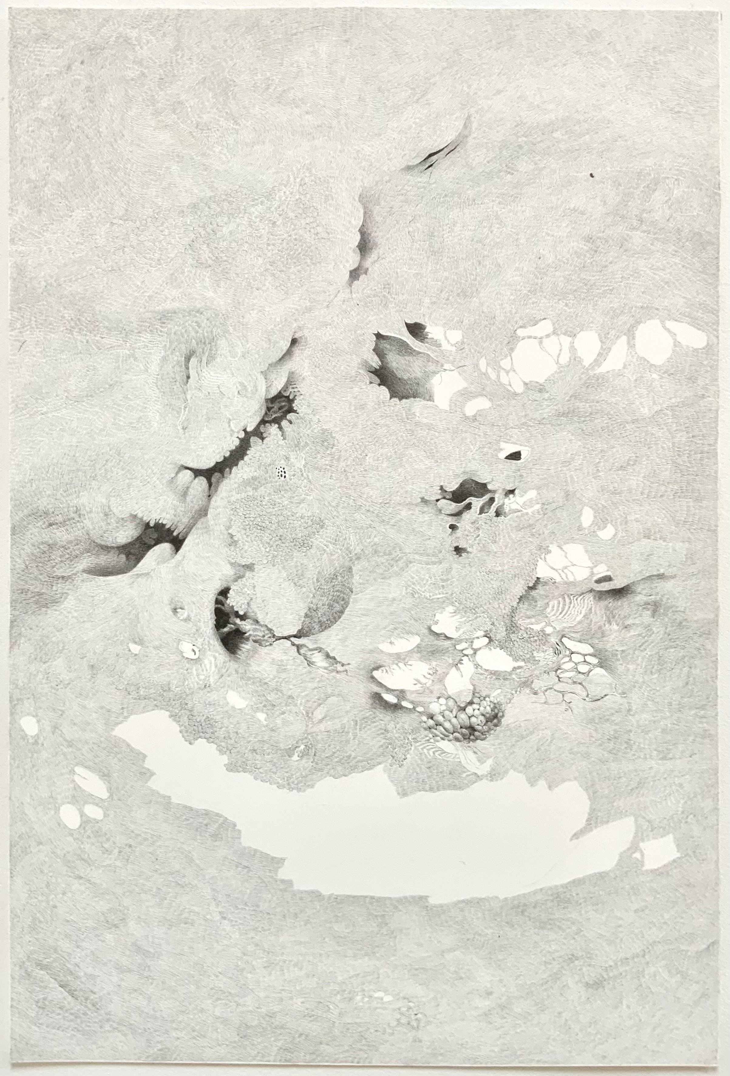 #065, 18" x 12"