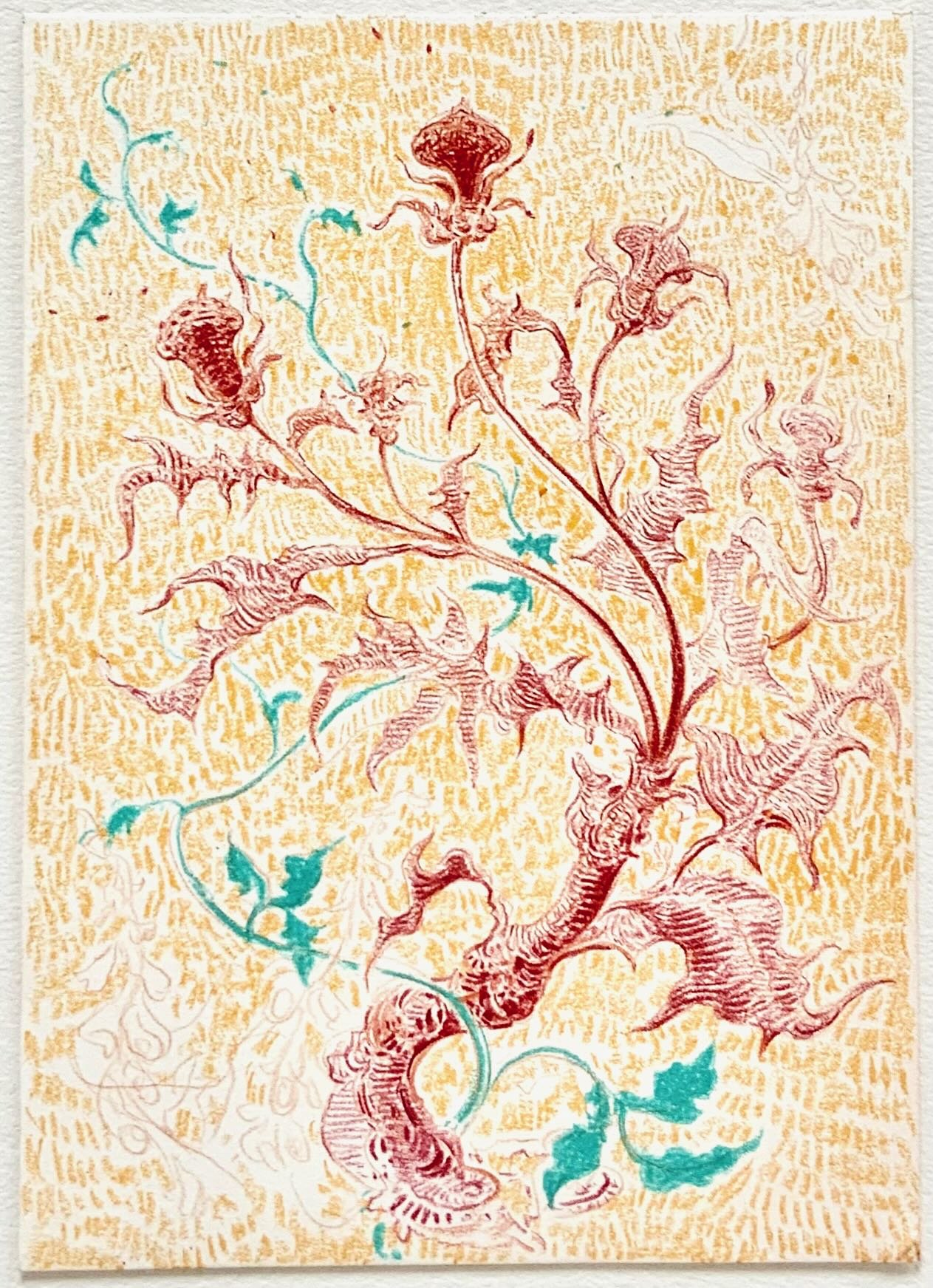 #093, 7" x 5"