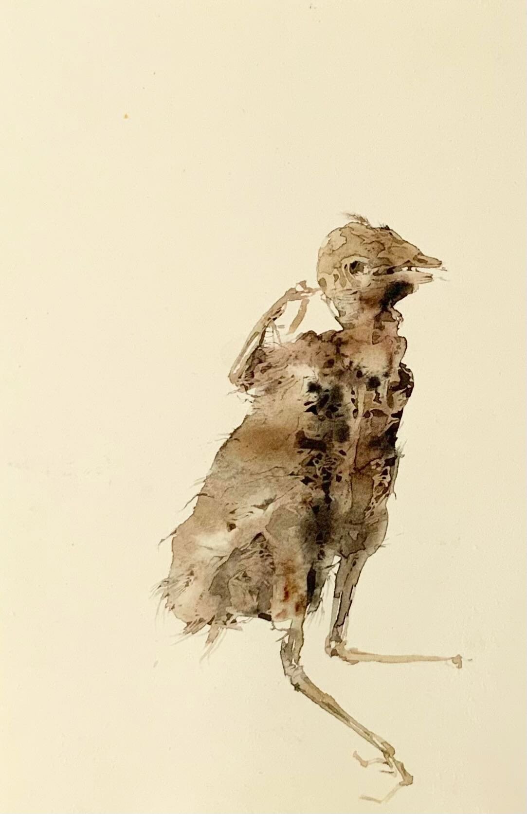 #097, 7.75" x 5.25"