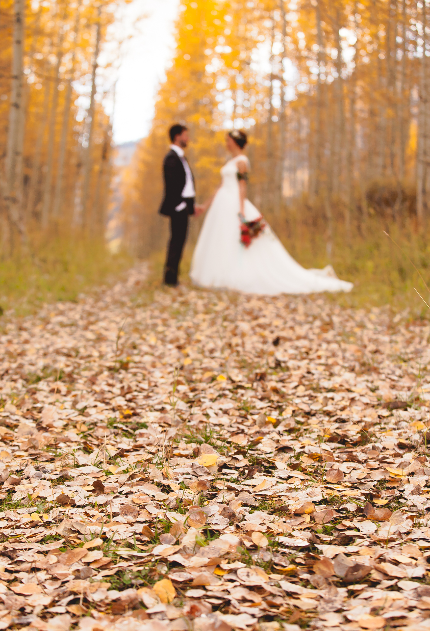 Durango Colorado Wedding photographer sow's ear wedding alexi hubbell photography