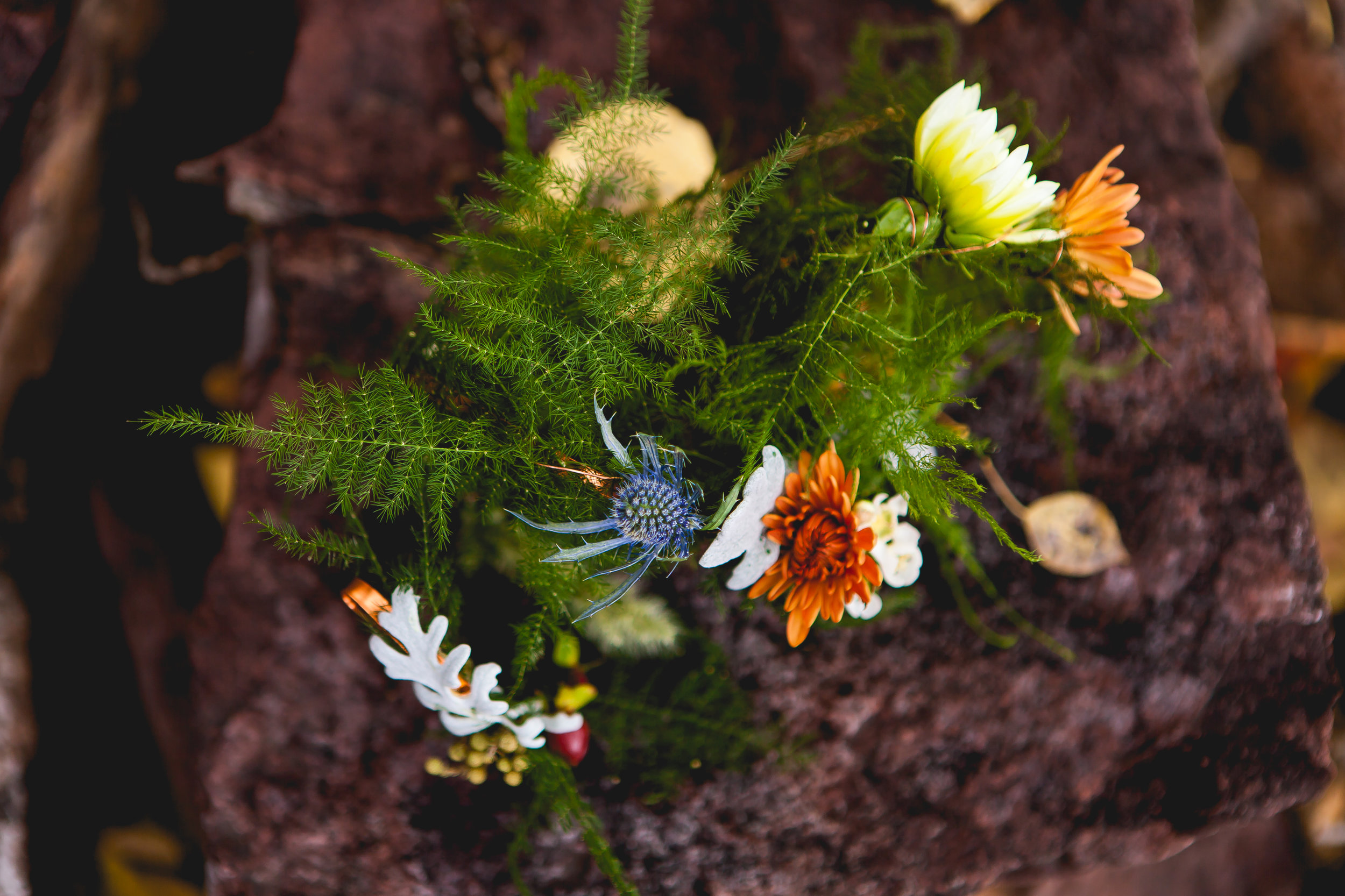 Durango Colorado Wedding photographer sow's ear weddding alexi hubbell photography