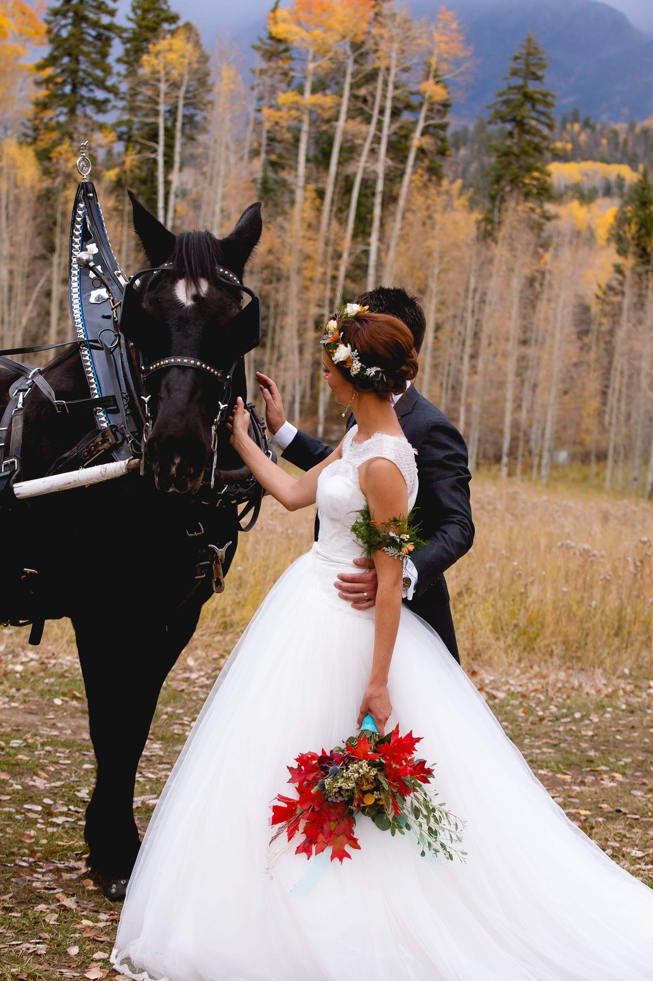 Durango Colorado Wedding photographer sow's ear wedding alexi hubbell photography