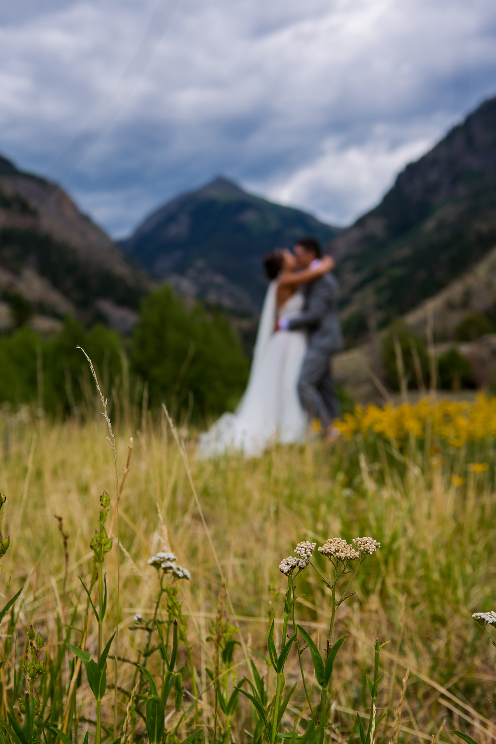 TELLURIDE, OURAY, RIDGWAY WEDDING TOP OF THE PINES SECRET GARDEN BED AND BREAKFAST