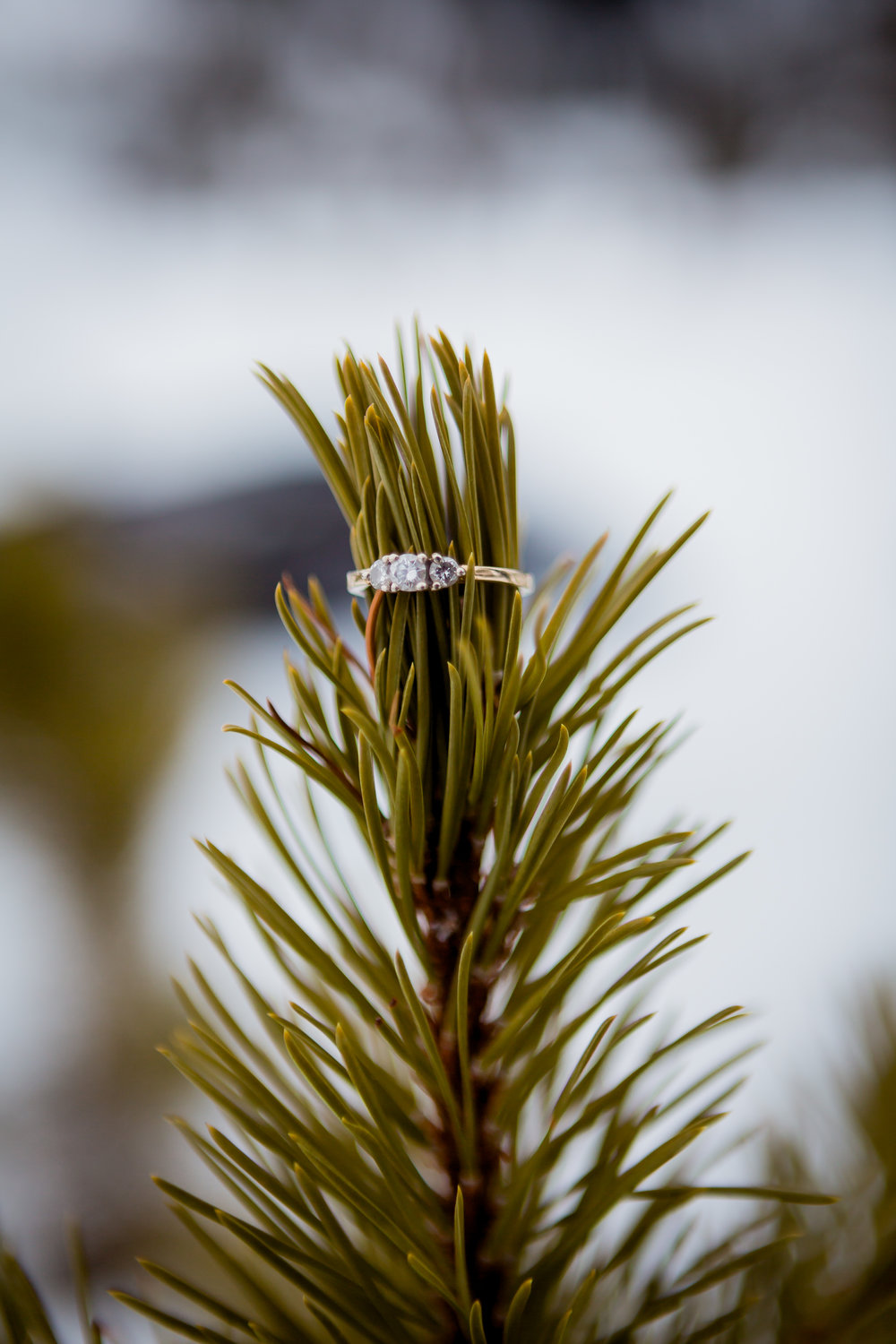 DURANGO &amp; BRECKENRIDGE ENGAGEMENT PHOTOGRAPHERS