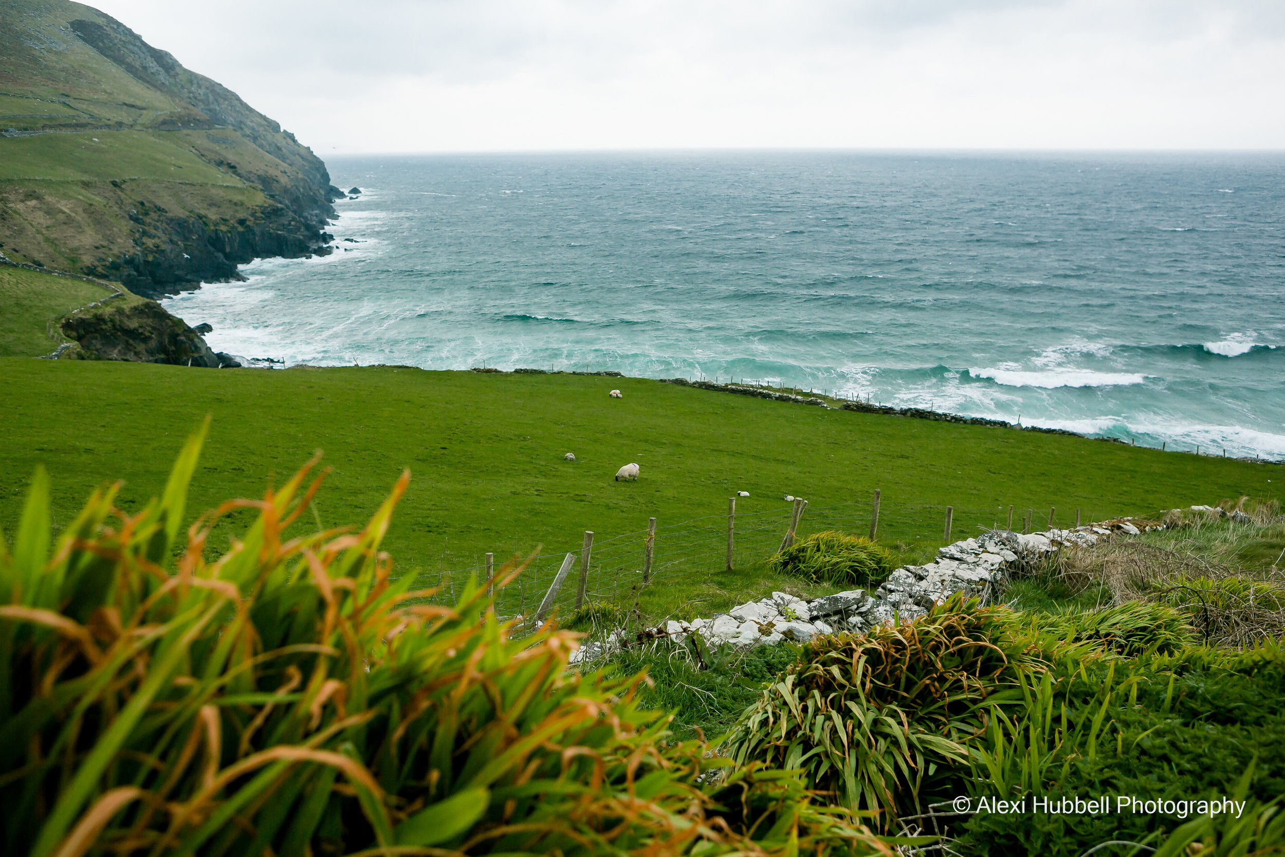 ireland-2665.JPG