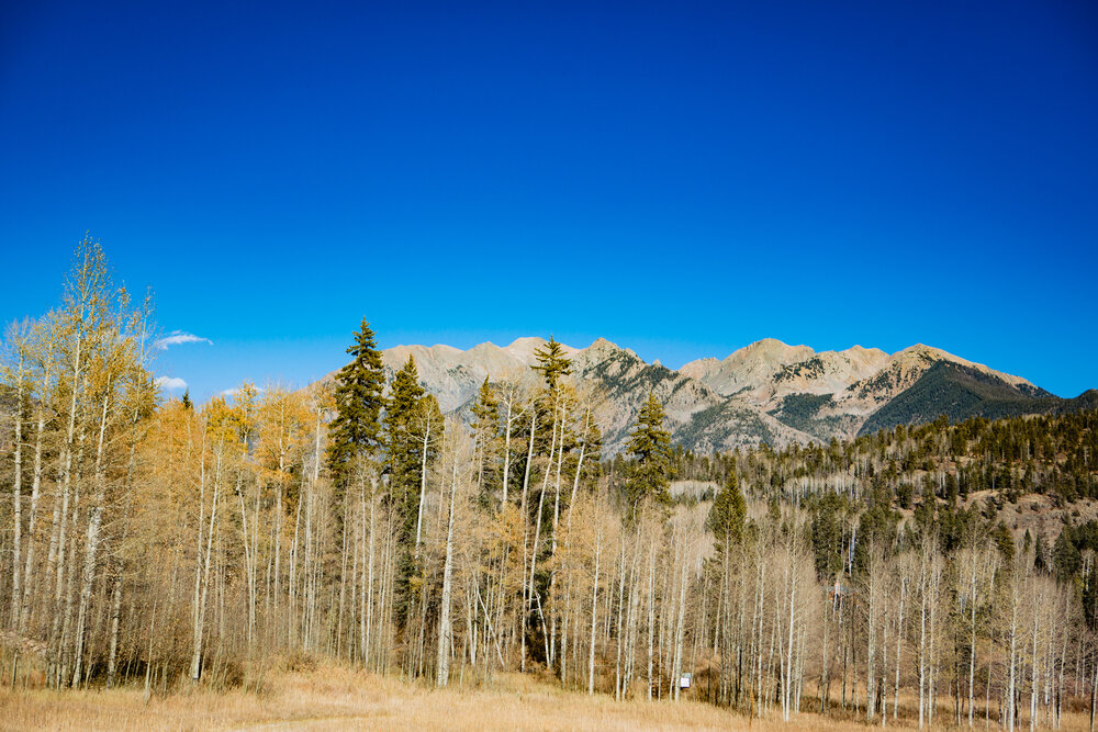 Silverpick lodge fall wedding