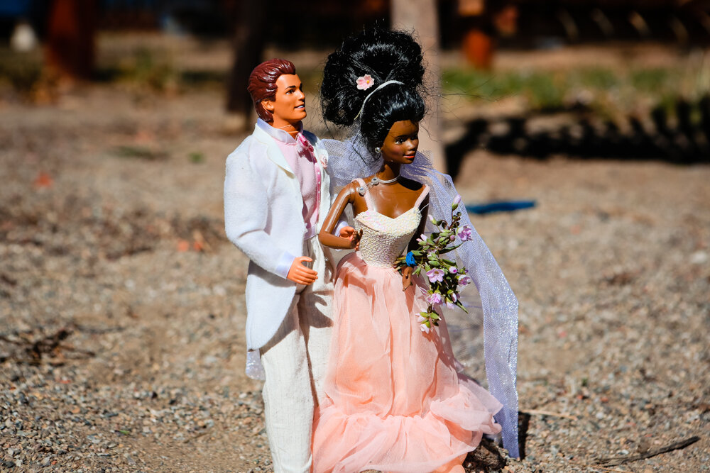 barbie wedding-9172.jpg
