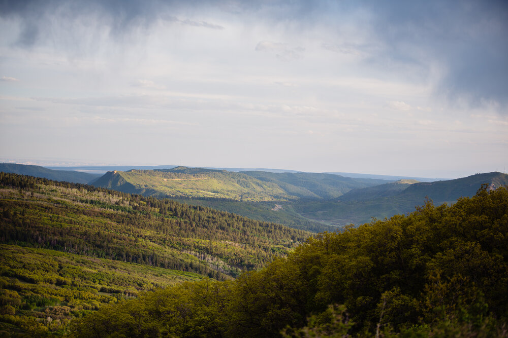 Mancos Colorado Wedding