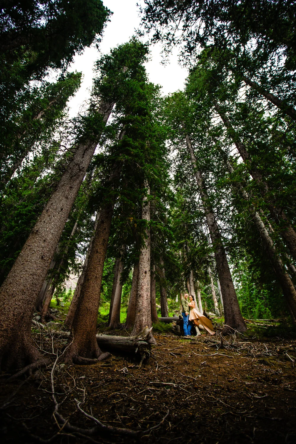 durango colorado engagement photos san juan national forest - alexi hubbell photography