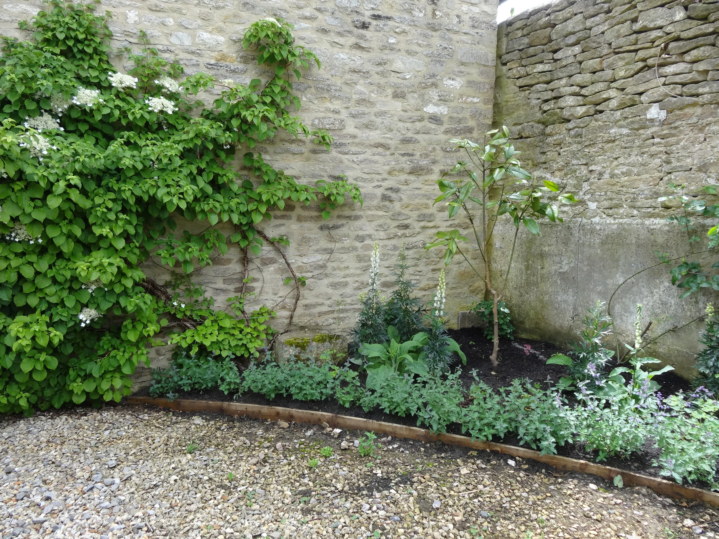 DSC00220.JPG