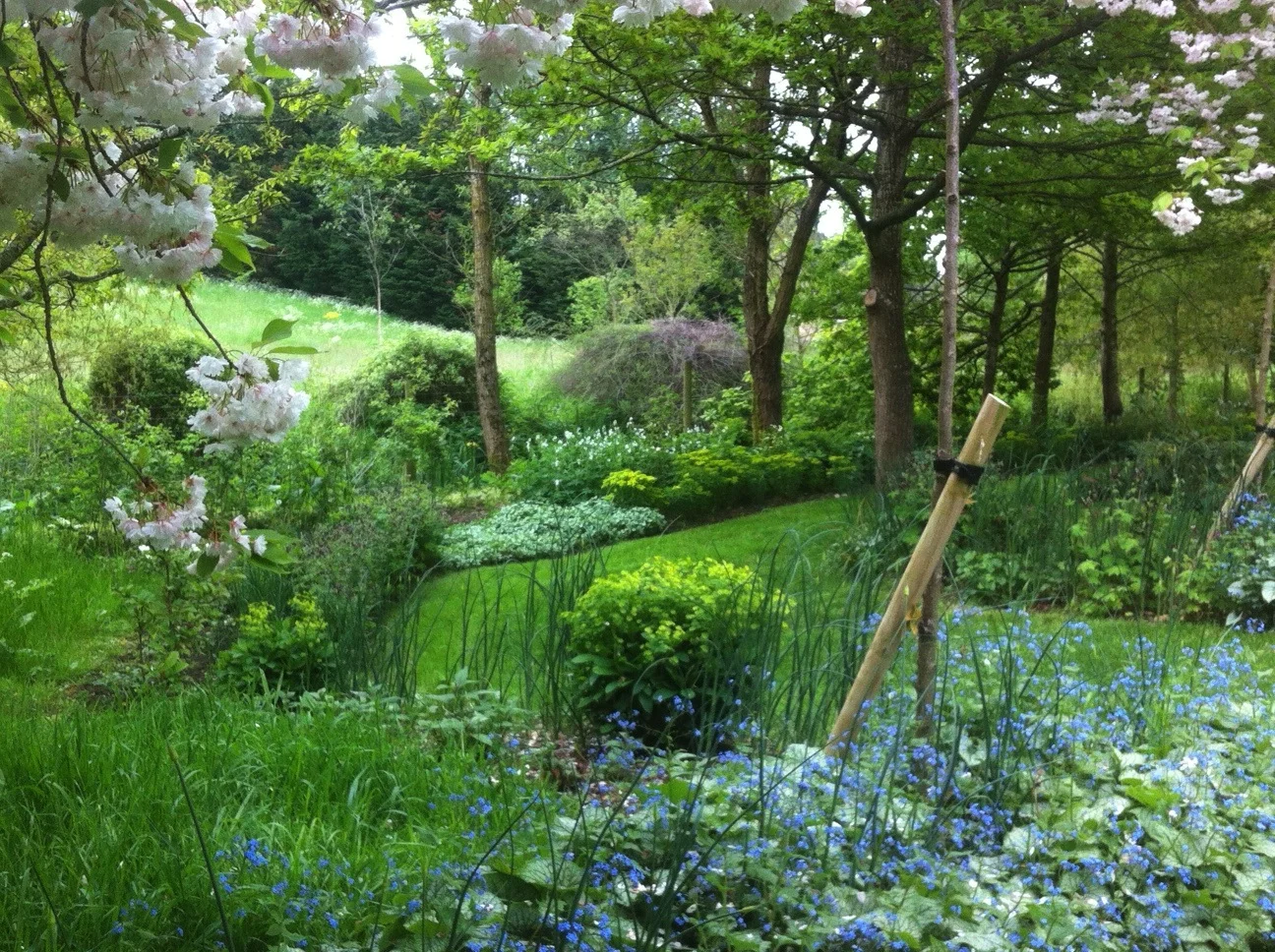 Image 1.jpg