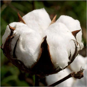 Devising New Work: Have we Enslaved the Good & Incarcerated the Bad? Whom is We?