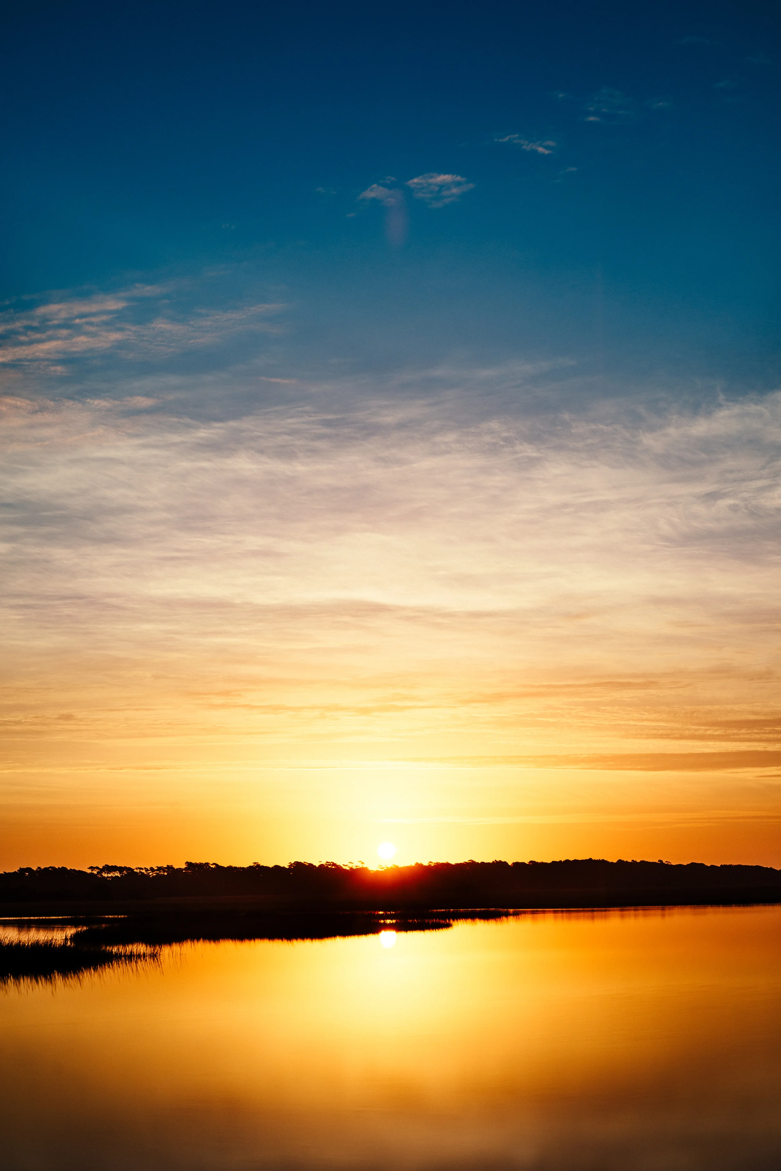 20151025-CSC_5791.jpg
