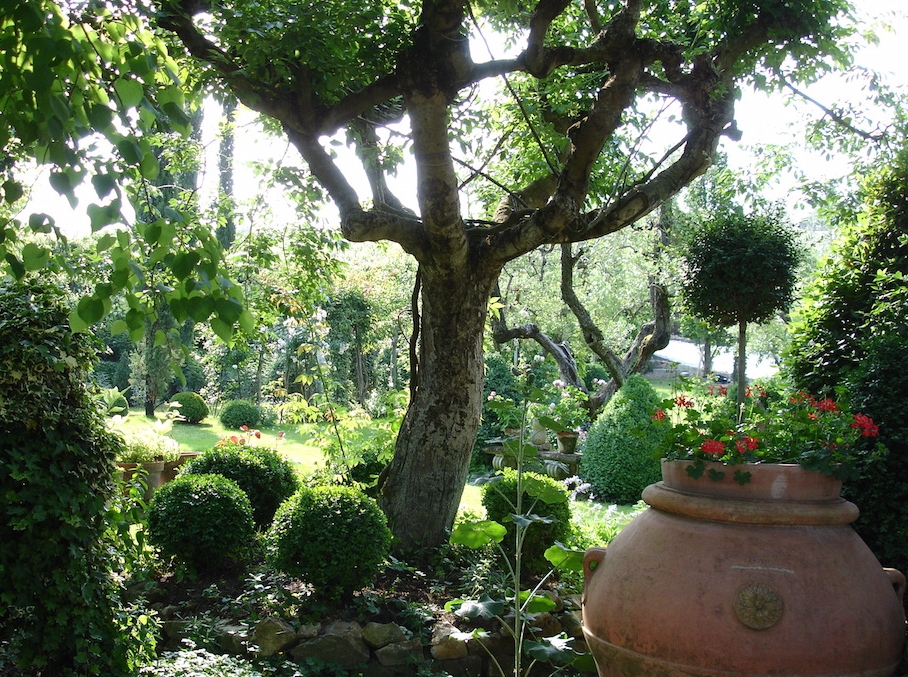 DSC01789.jpg