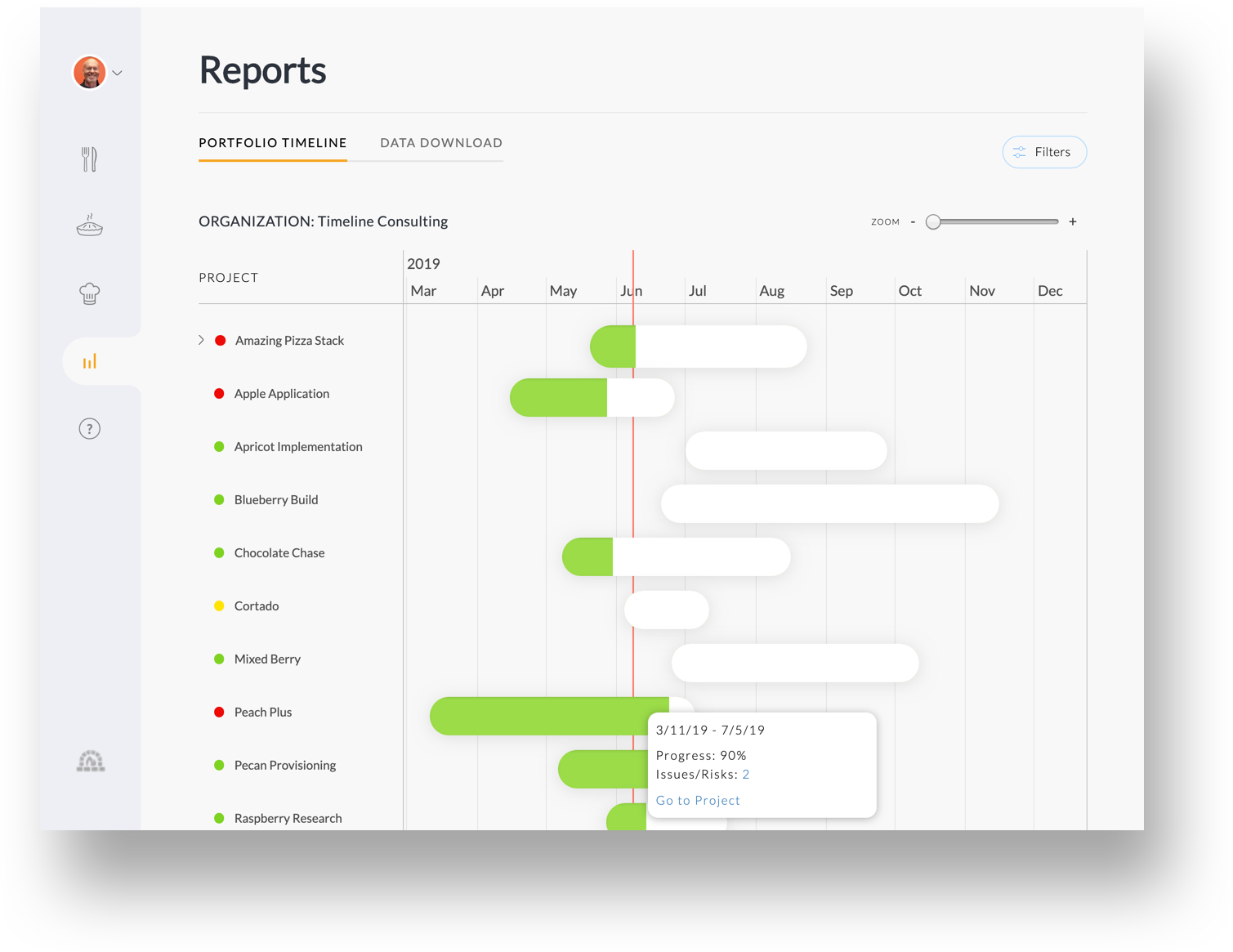 Portfolio Timeline Report.png