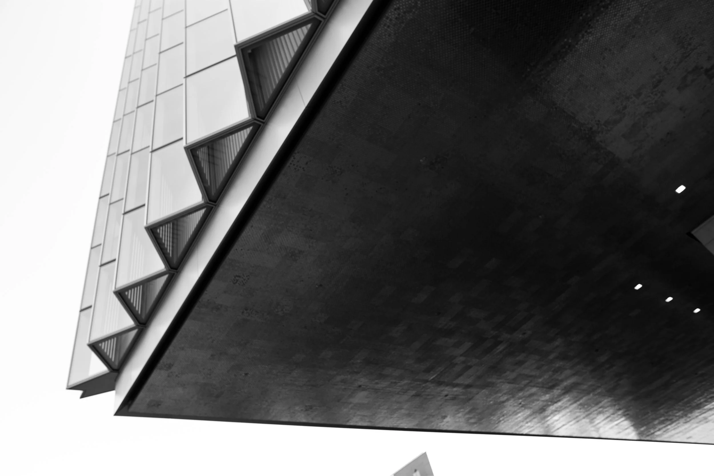 DTLA-48.jpg