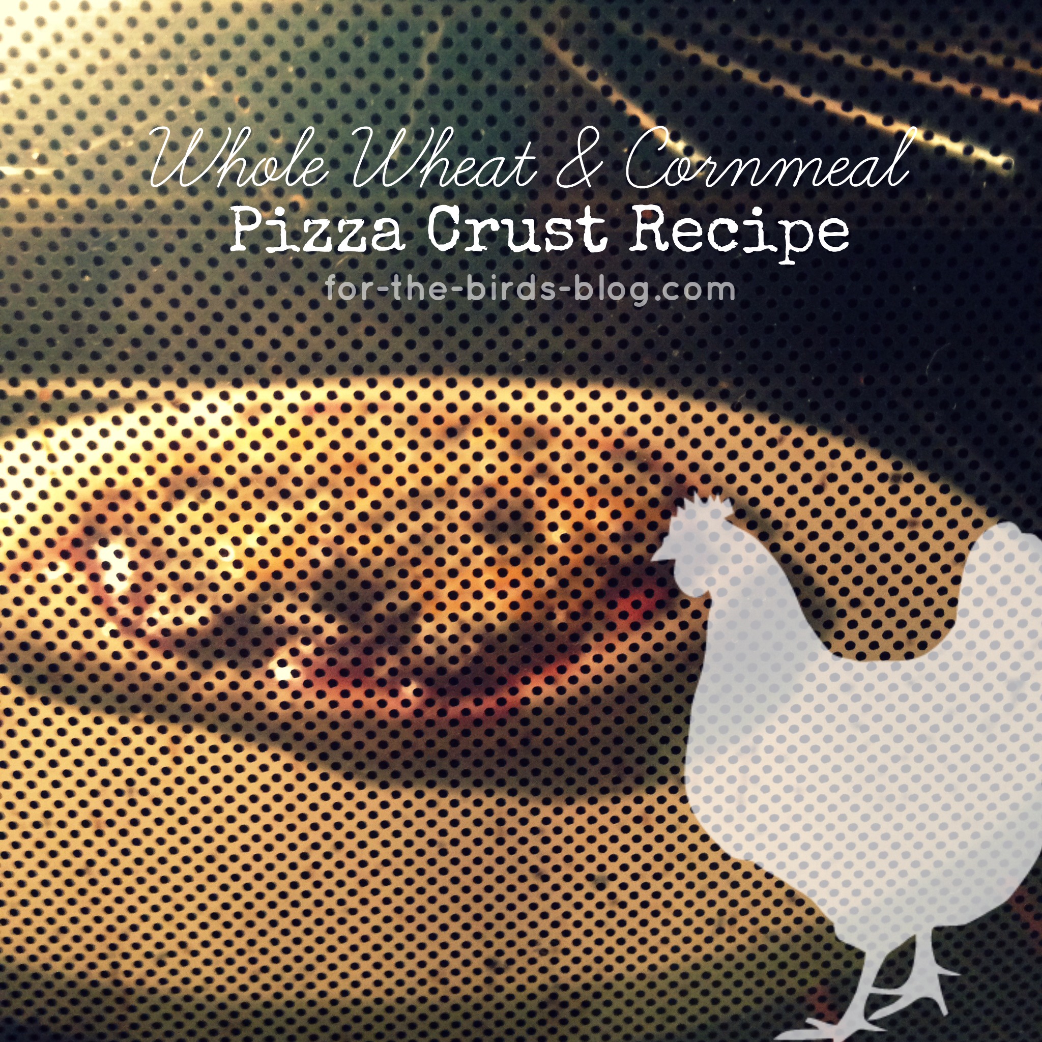Whole Wheat and Cornmeal Pizza Crust Recipe from For the Birds Blog.jpg