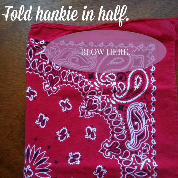 fold hankie in half_blow here.jpg