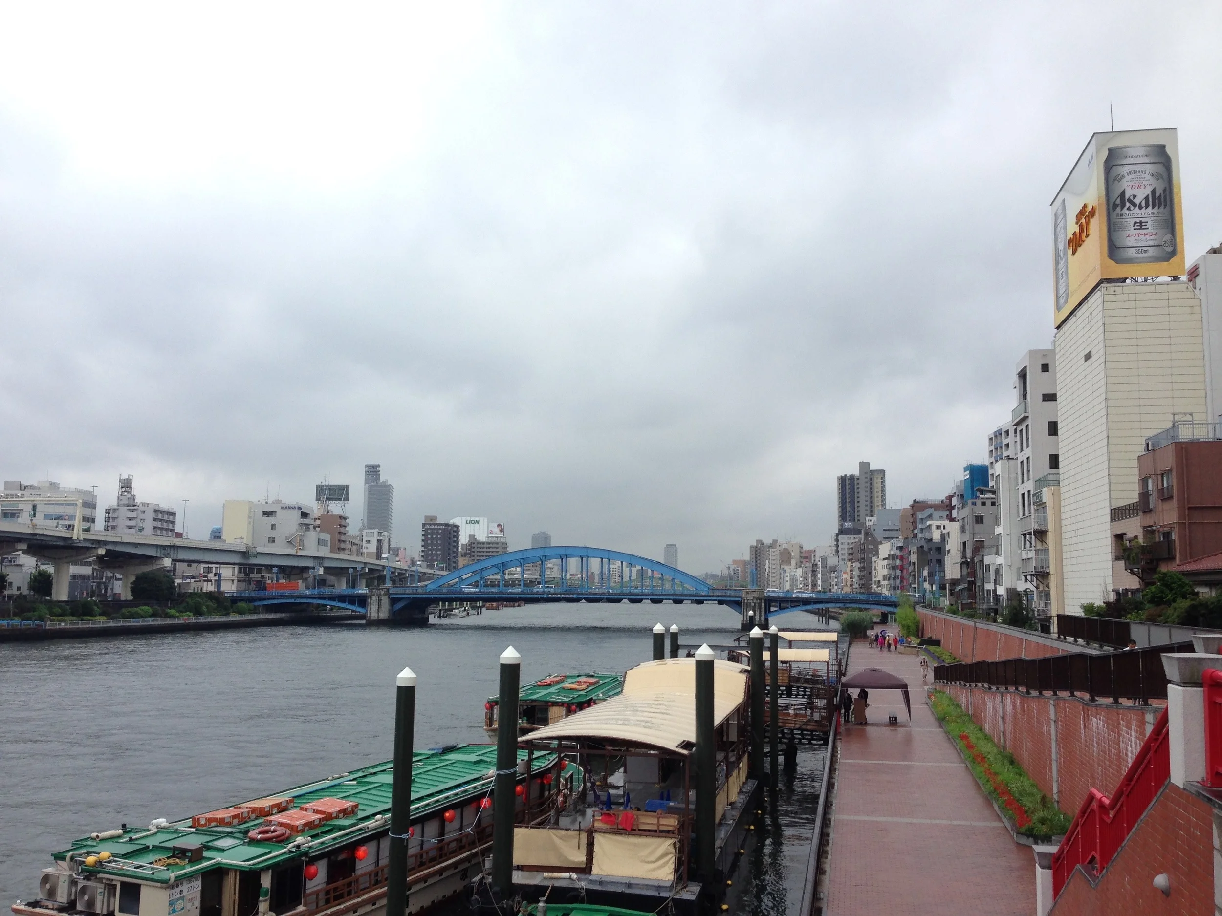 Another boat picture: View down the boat path.