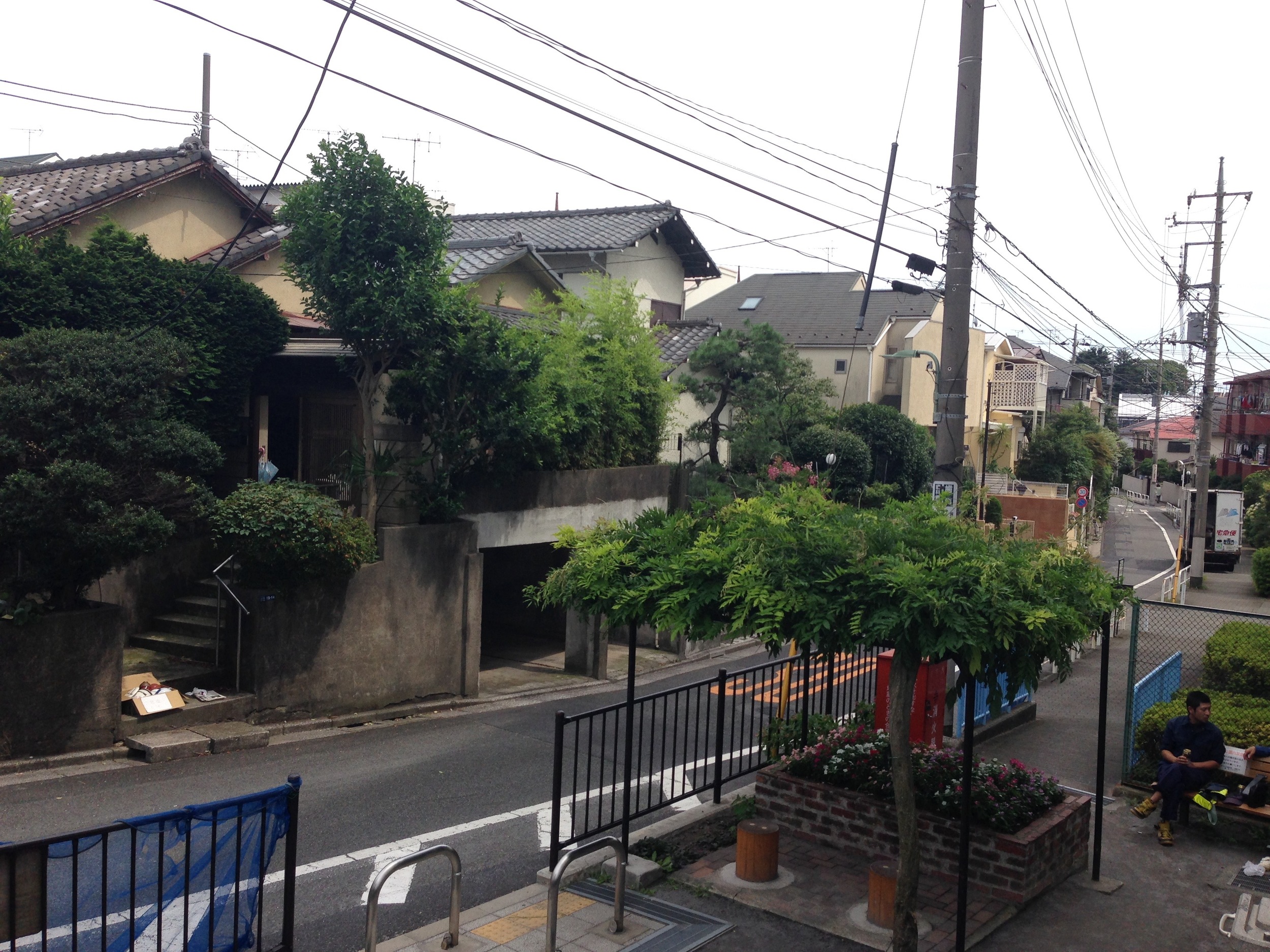 Rows of homes along tree-lined streets. 