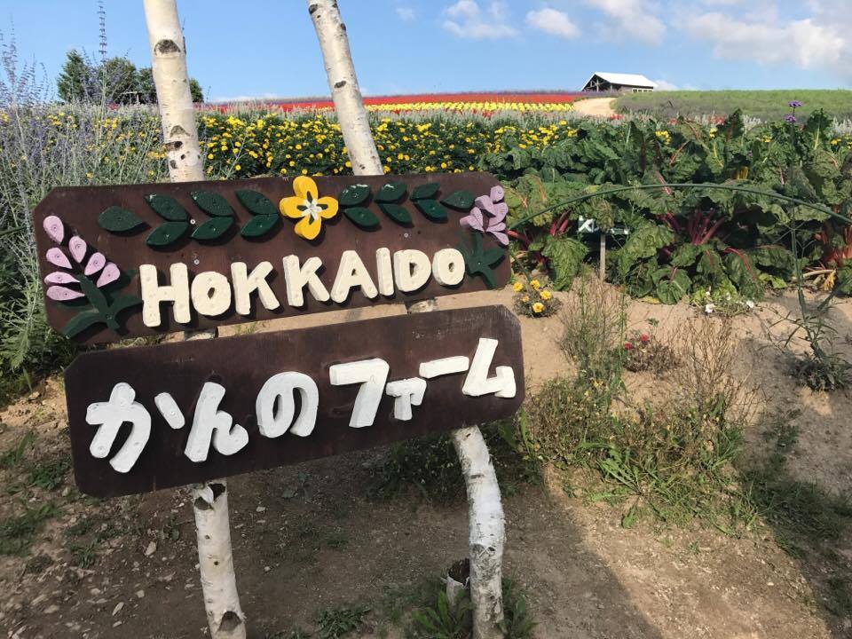 Flower Land in KamiFurano