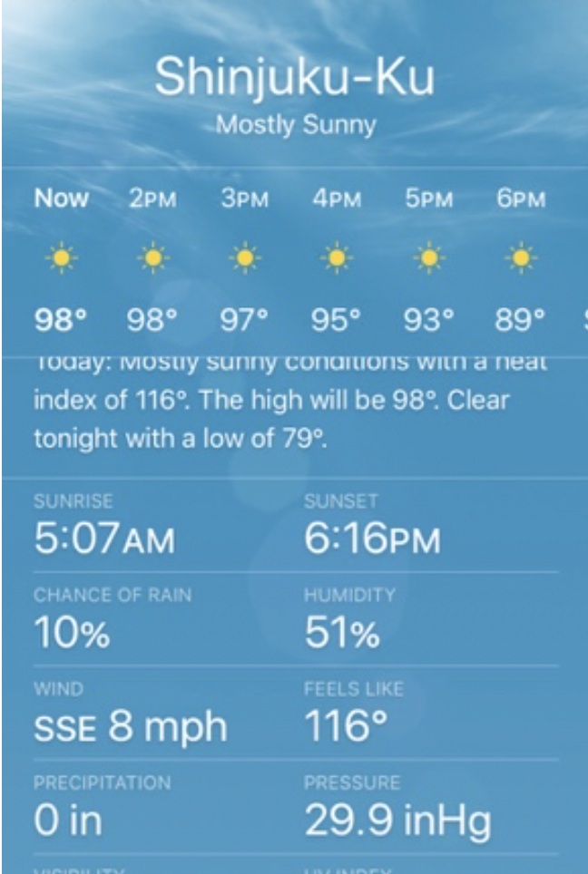 Screen+Shot+2019-06-16+at+18.03.40.jpg