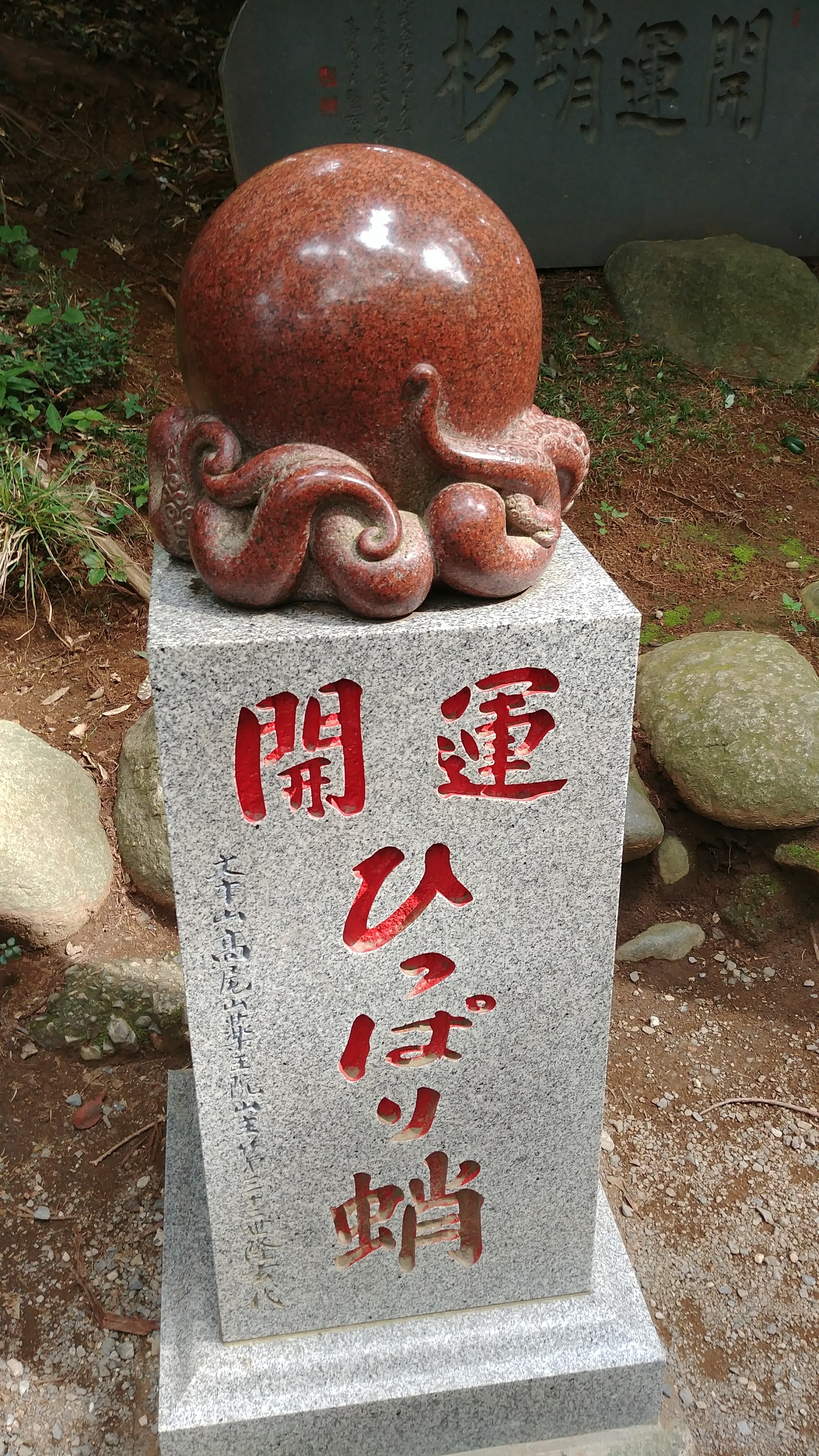 tako-sugi