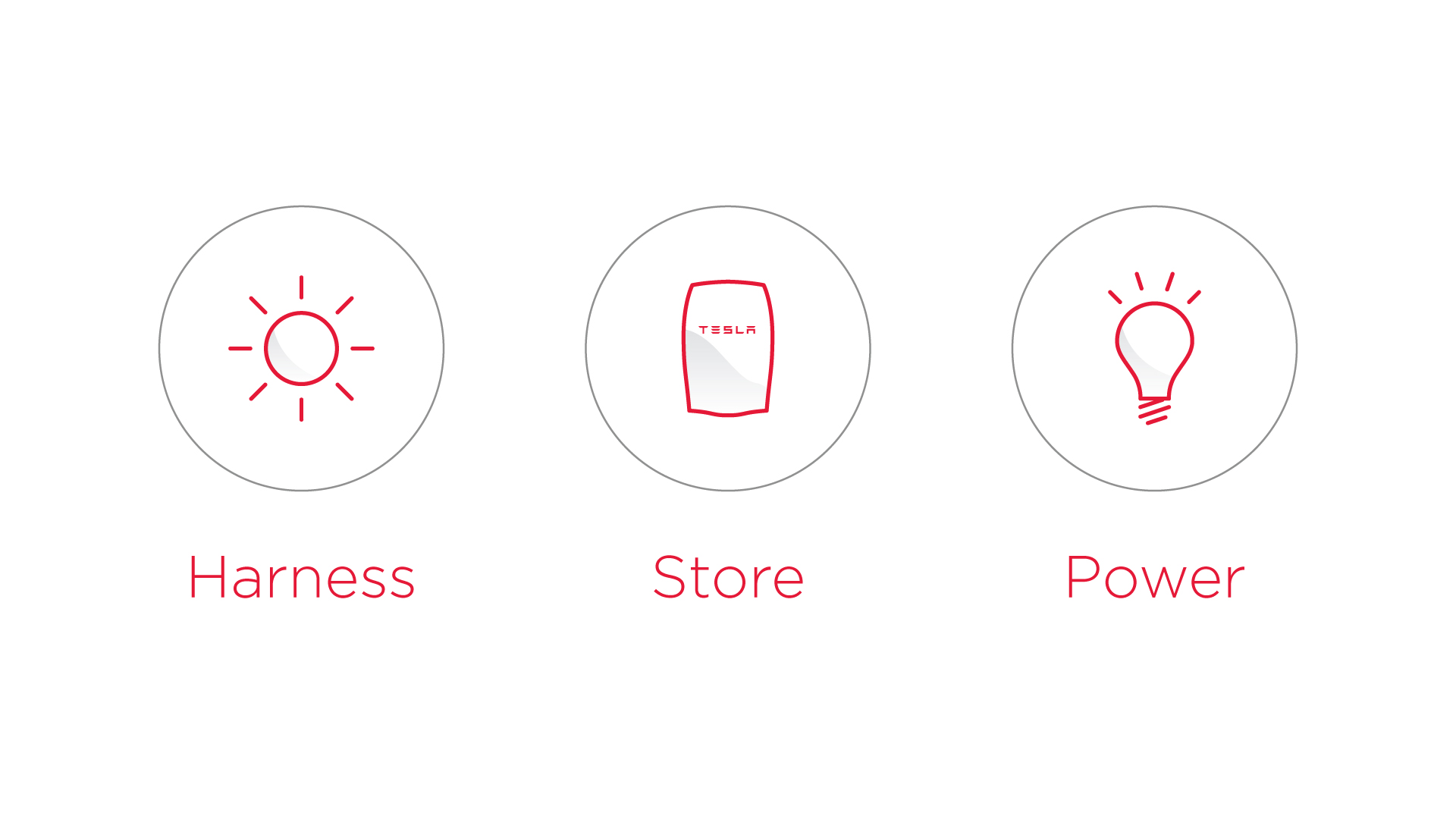 Harness-Store-Power.jpg