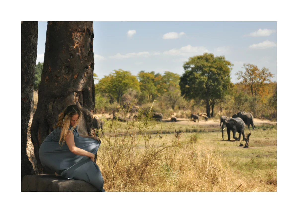 Transformation Elephant
