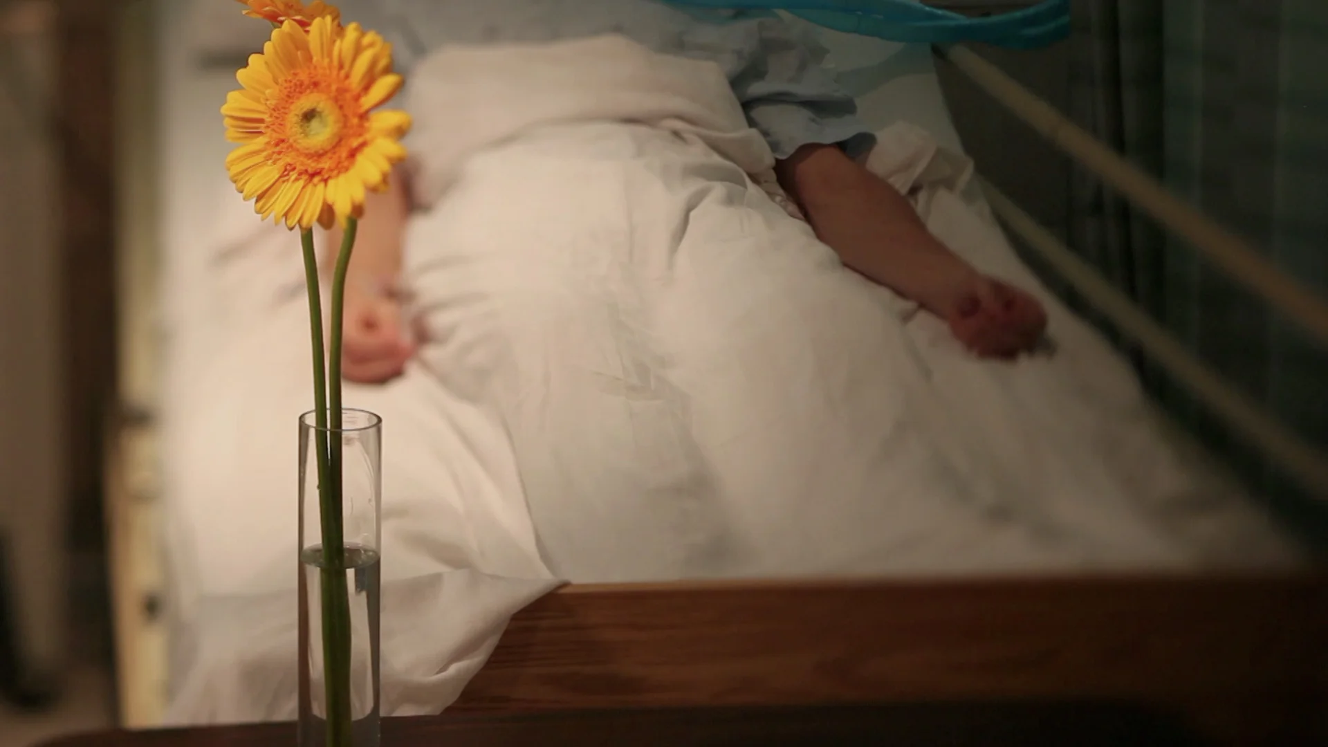 MOVE (2011) short experimental film