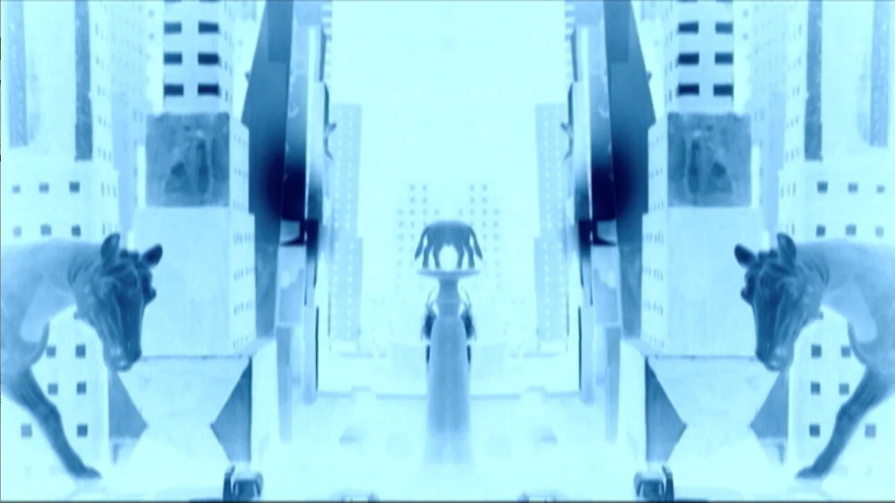 HIdden cities (2009) short film