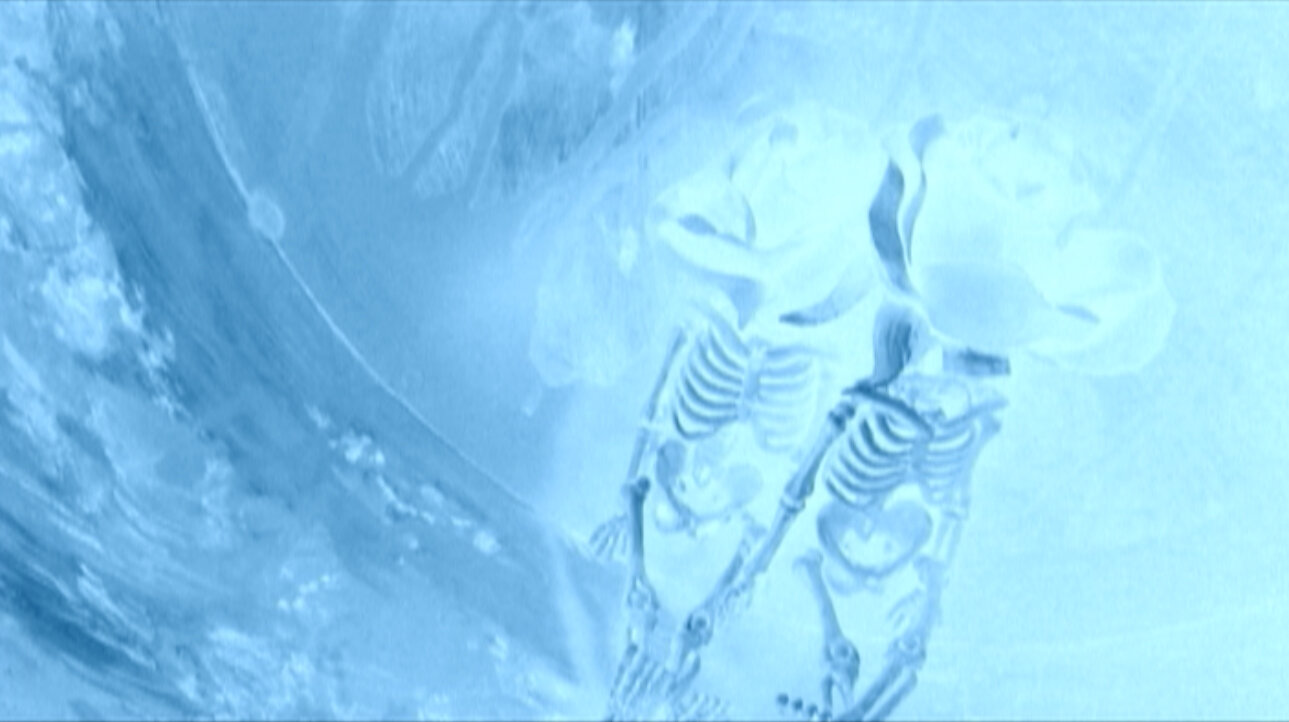 HIdden cities (2009) short film