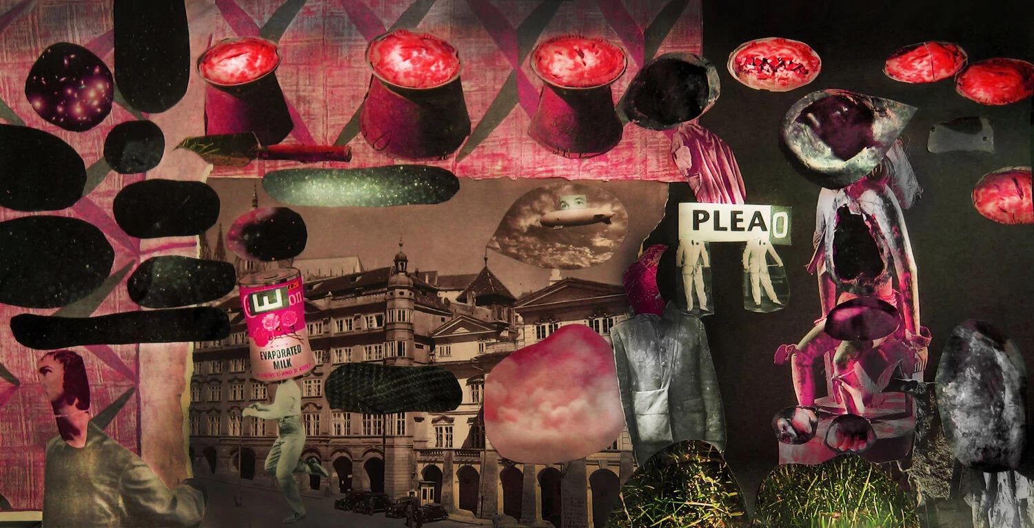 A Plea Sees