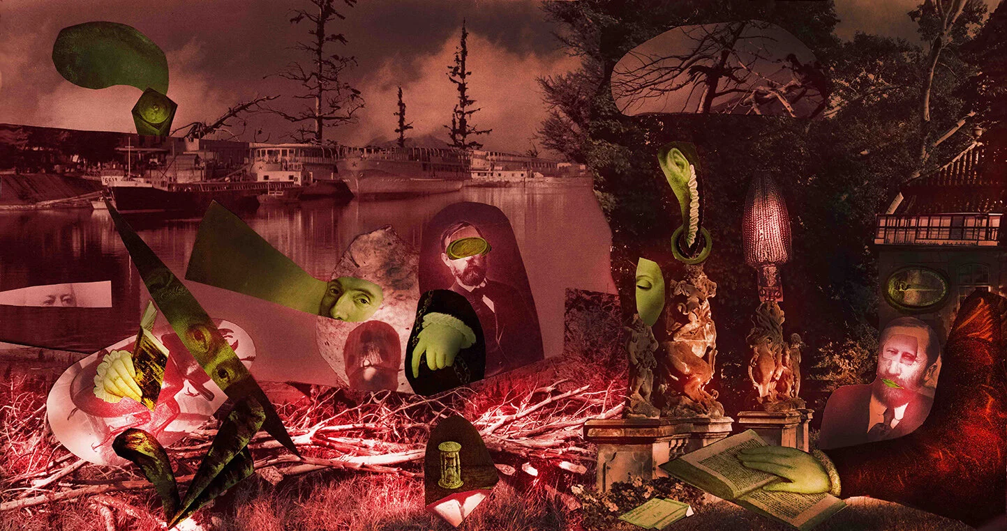forest fire picnic
