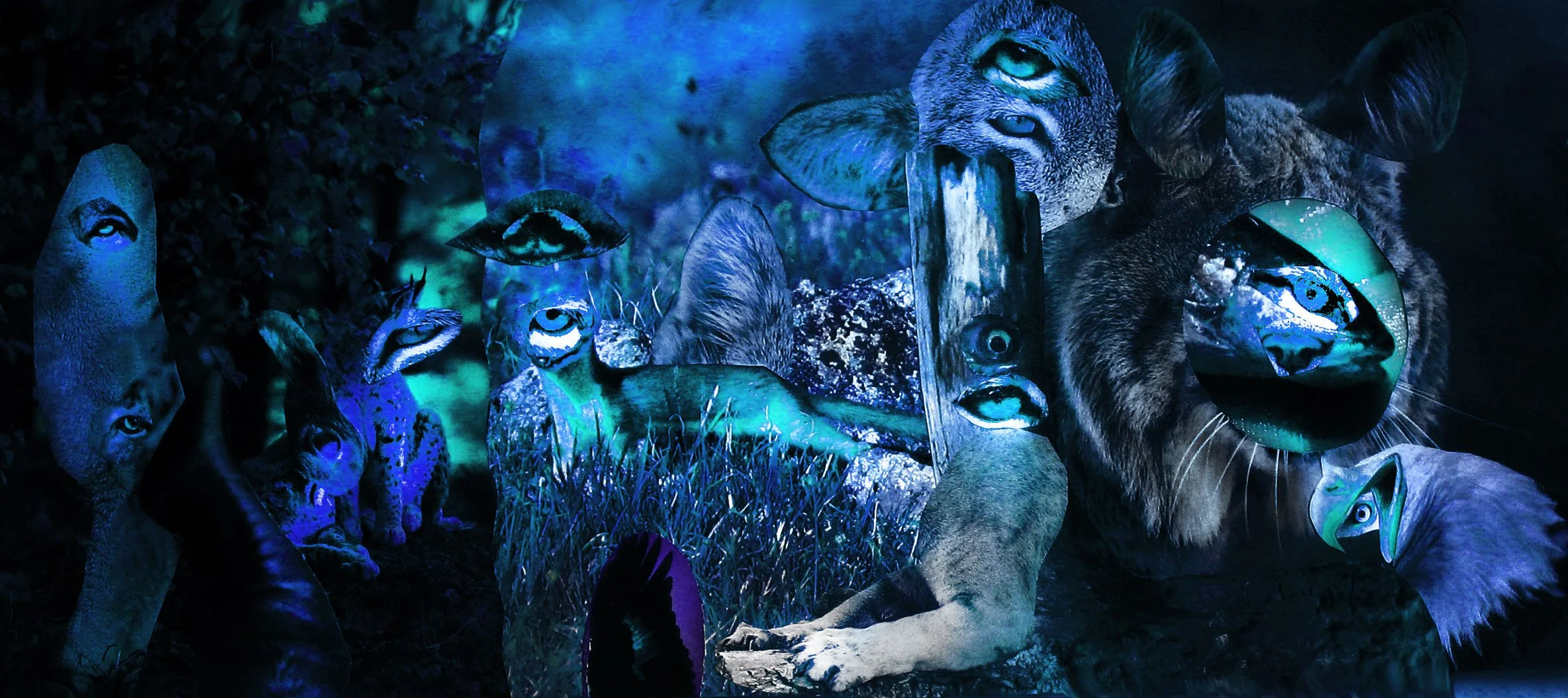 wild life