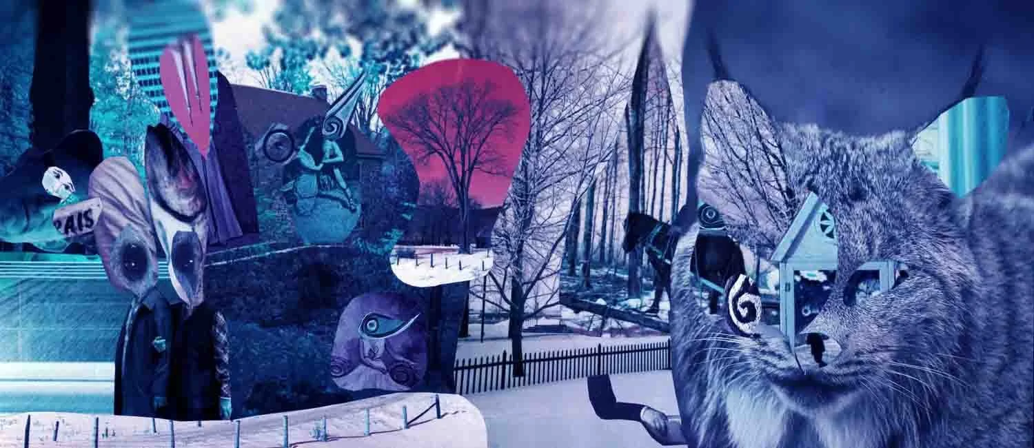 winter cat
