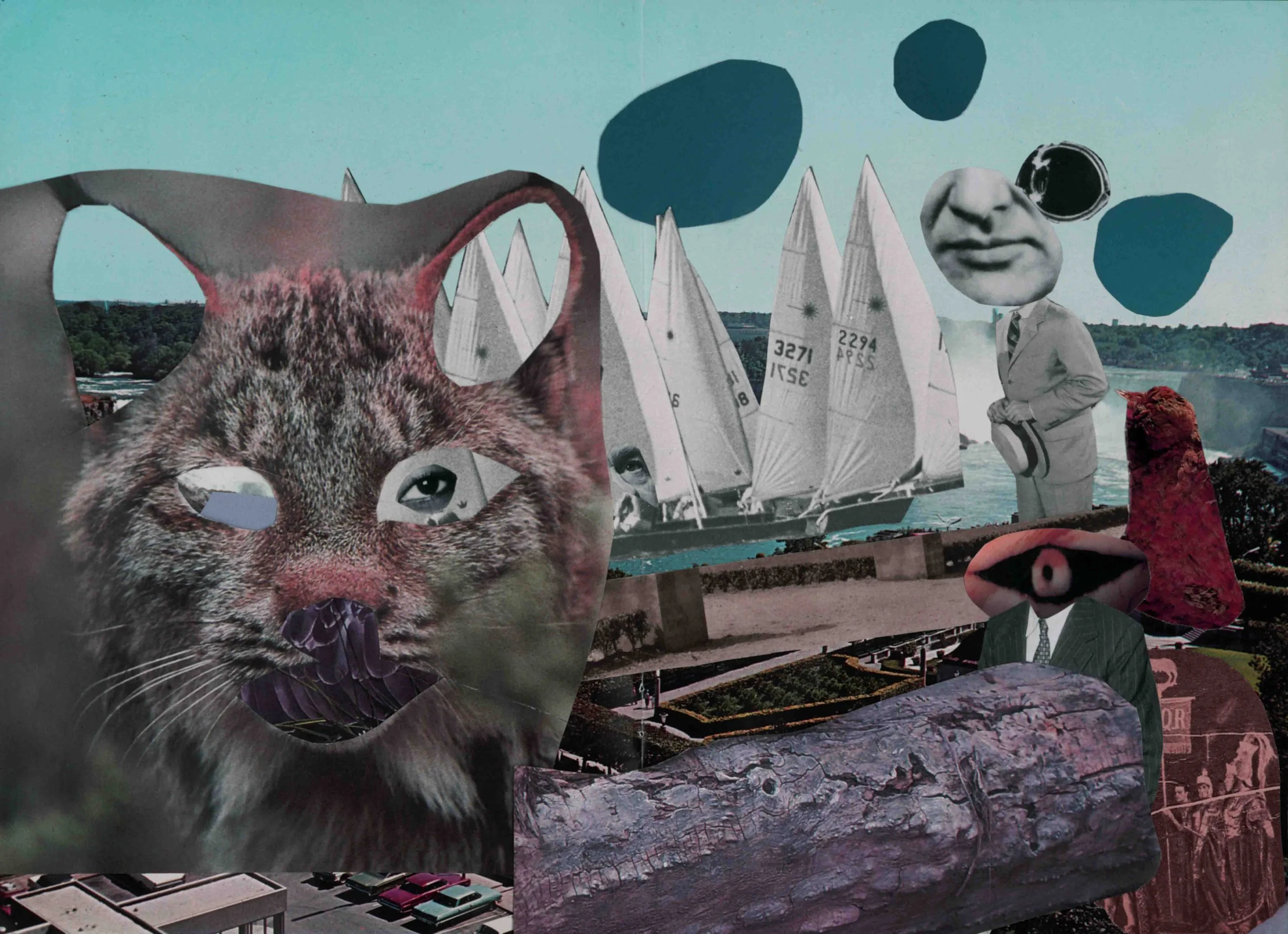sailing
