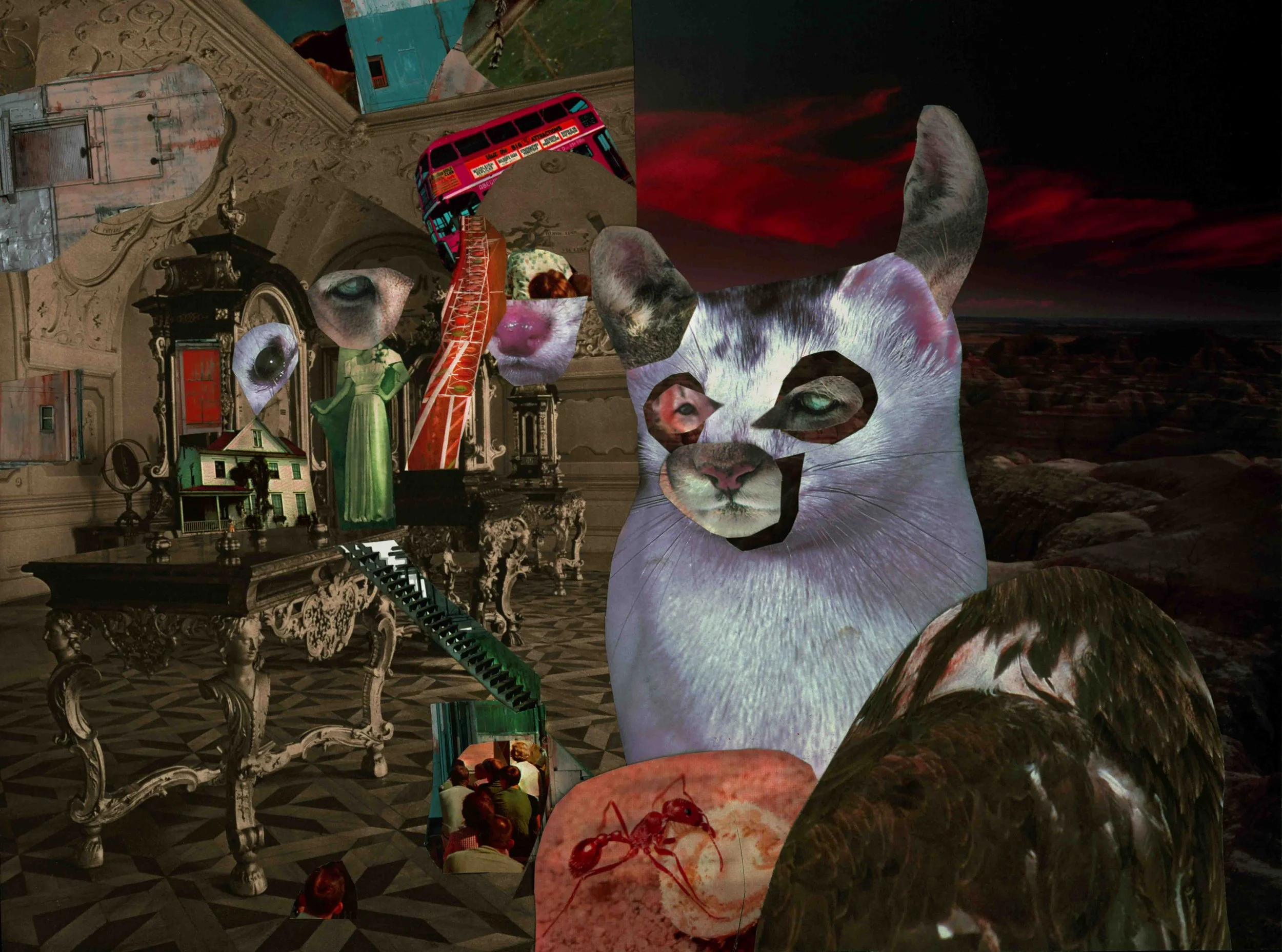 cat land