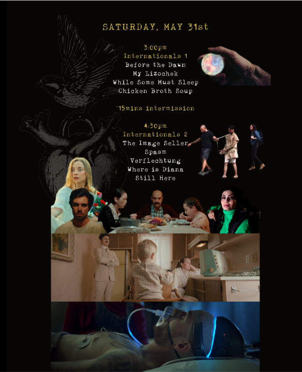 STILL HERE / IMMERDAR (2024) official selection