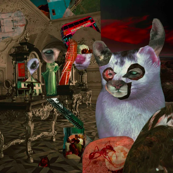 Cat Minding