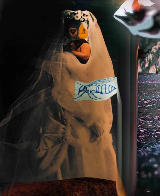 bridal haste