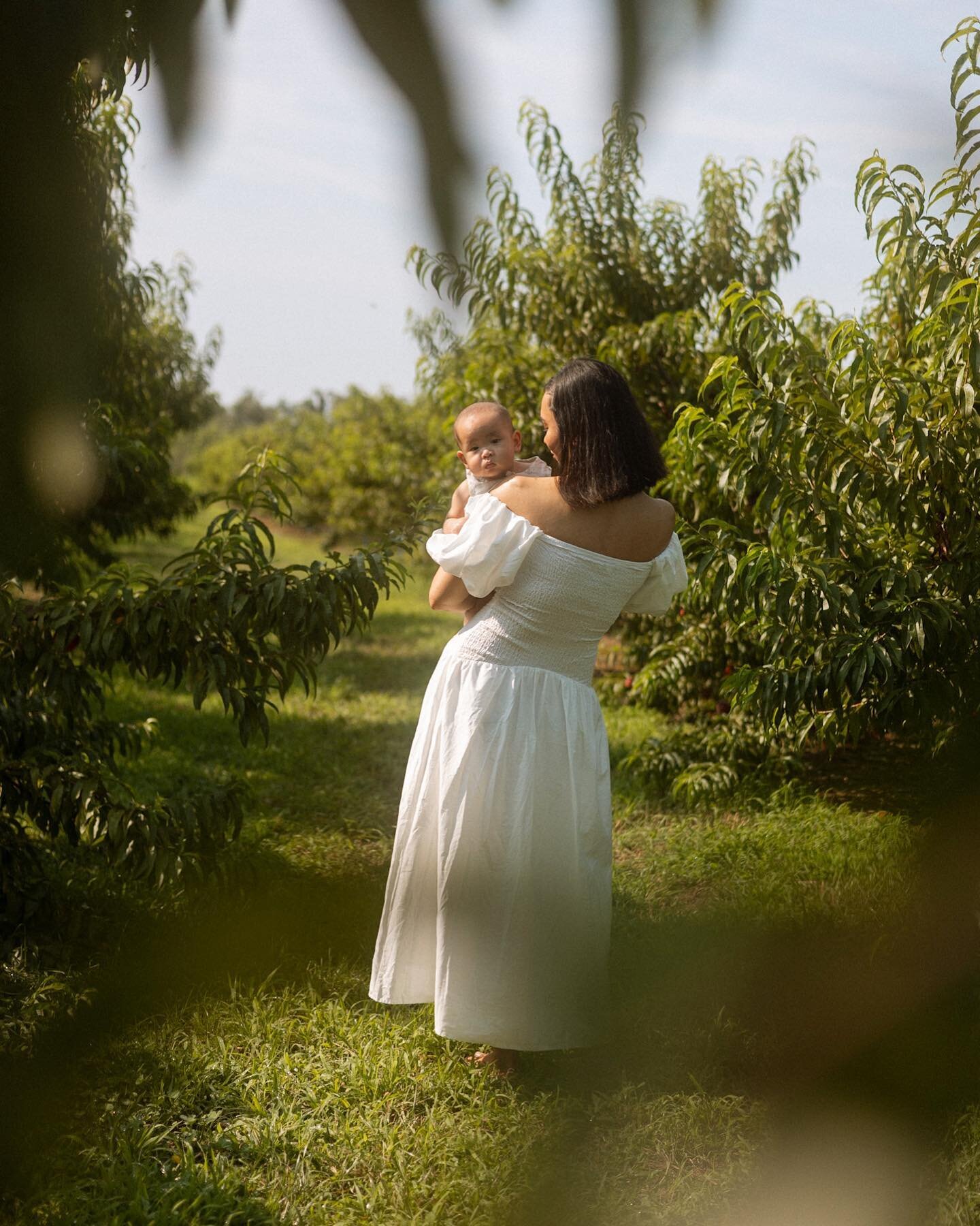 and that&rsquo;s a wrap for the orchard season at @cullipherfarm 

all galleries have been delivered from my october minis + excited to return next year 

🥧🍂🕯️🎞️

apple orchard photoshoot, pumpkin patch fields, mini session, virginia beach photog